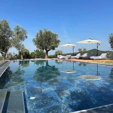 Hilltop Τίρανα